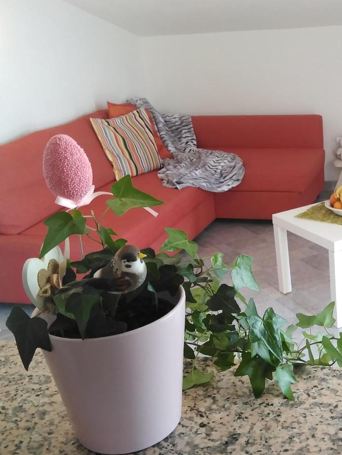 Apartments Nina Ravni Room photo